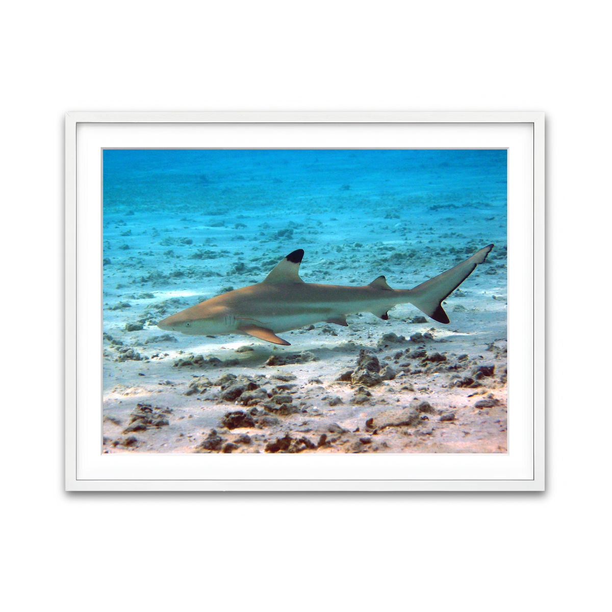 Framed Print 4x3 White