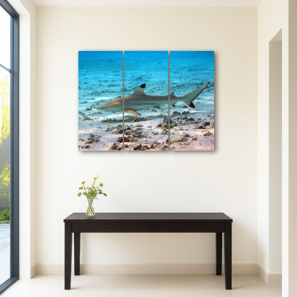 AUTO-MOCKUP ROOM | Black Tip Reef Shark