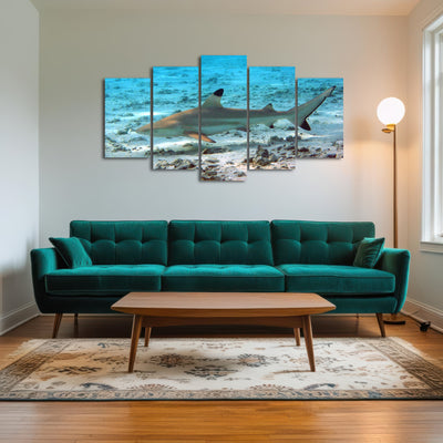 AUTO-MOCKUP ROOM | Black Tip Reef Shark