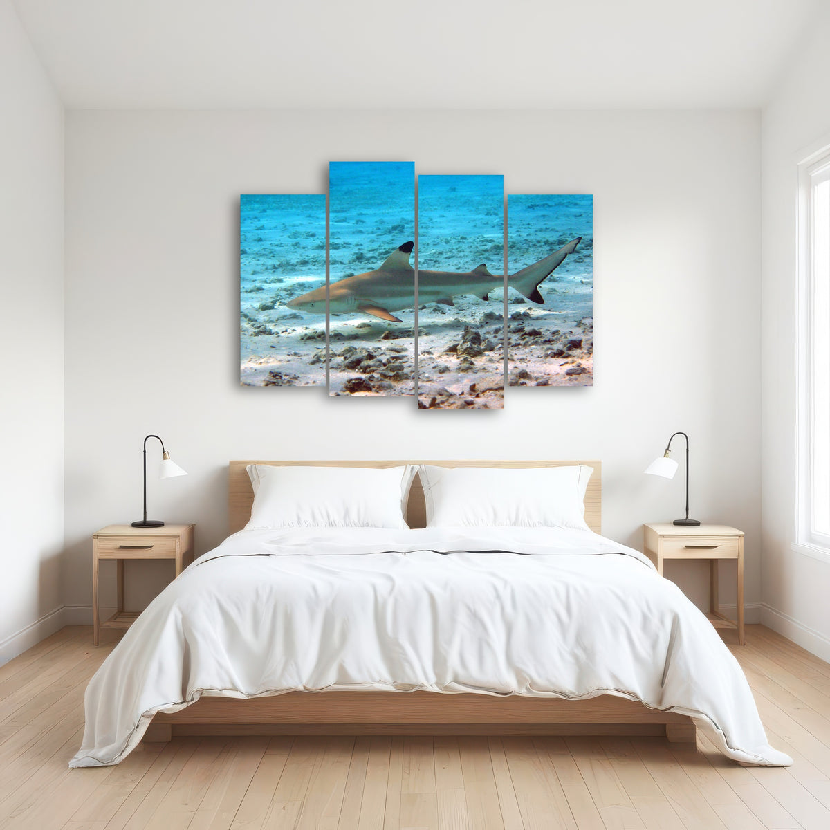 AUTO-MOCKUP ROOM | Black Tip Reef Shark