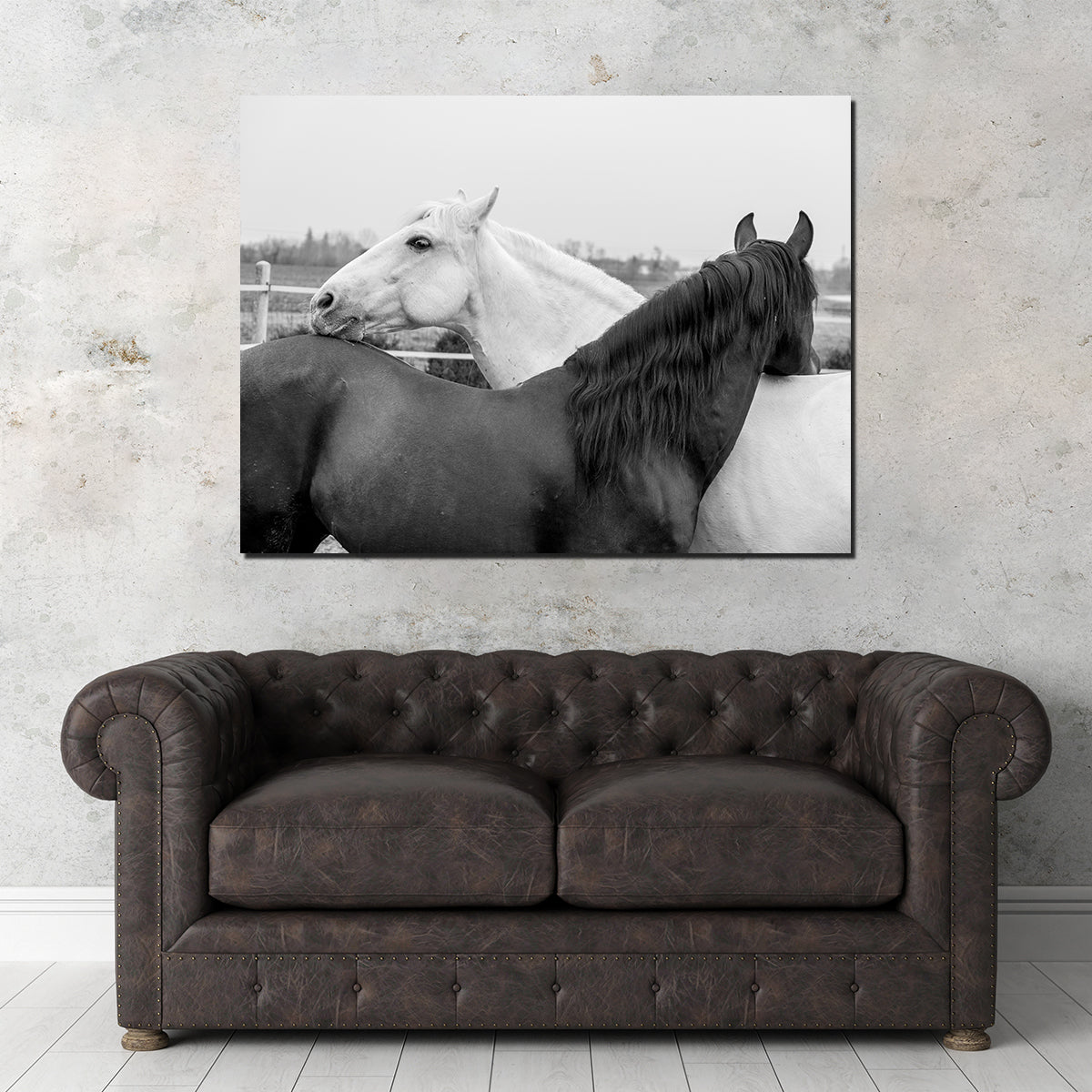 Black & White Horses Wall Art