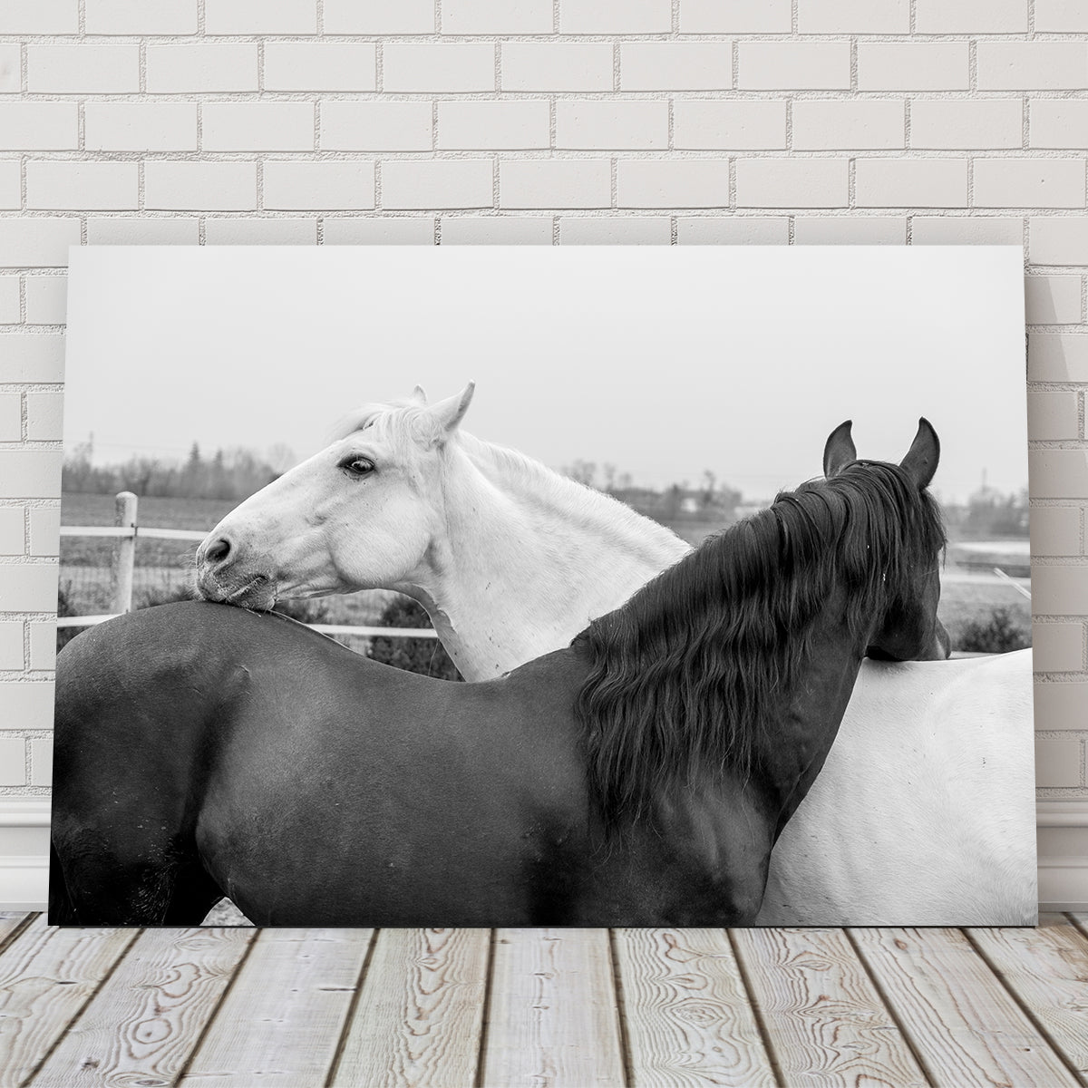 Black & White Horses Wall Art