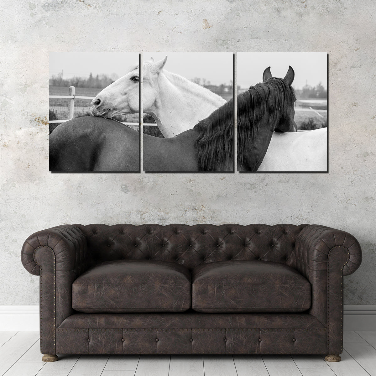 Black & White Horses Wall Art