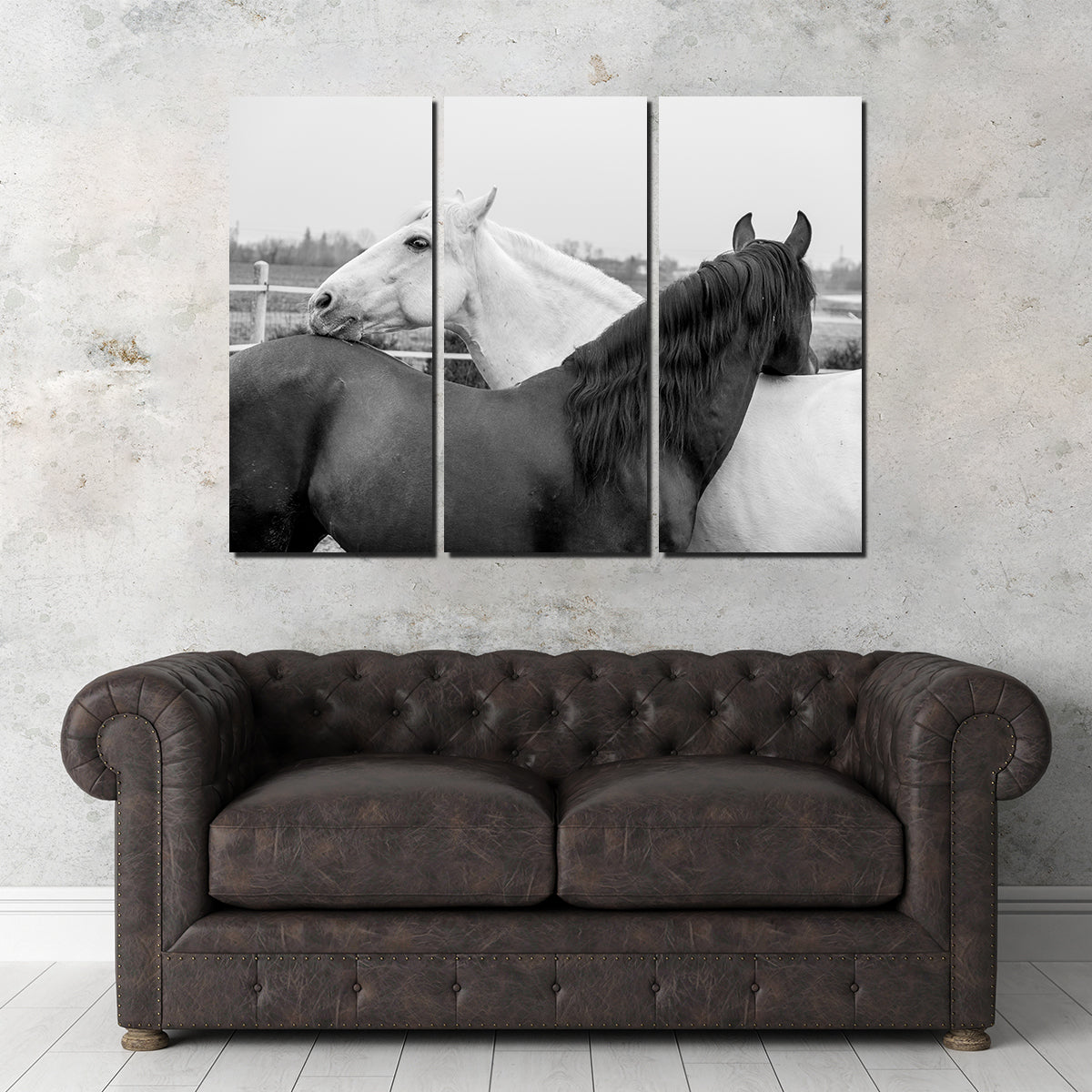 Black & White Horses Wall Art