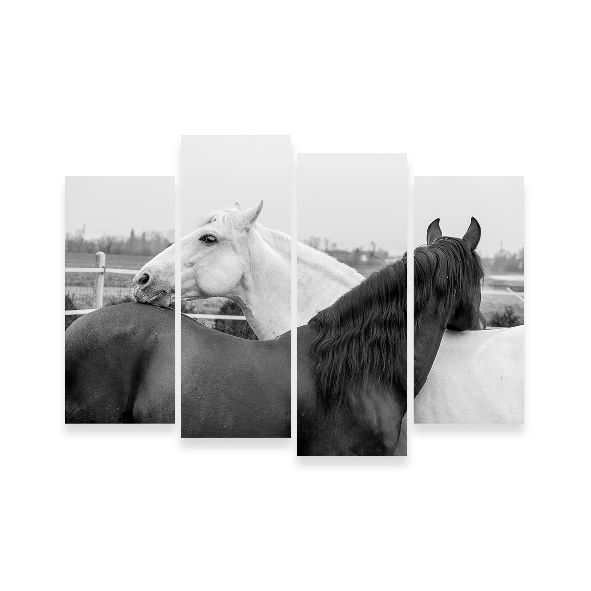Black & White Horses Wall Art