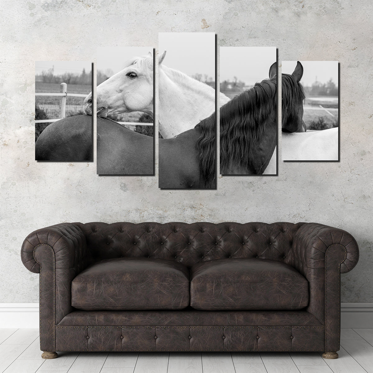 Black & White Horses Wall Art