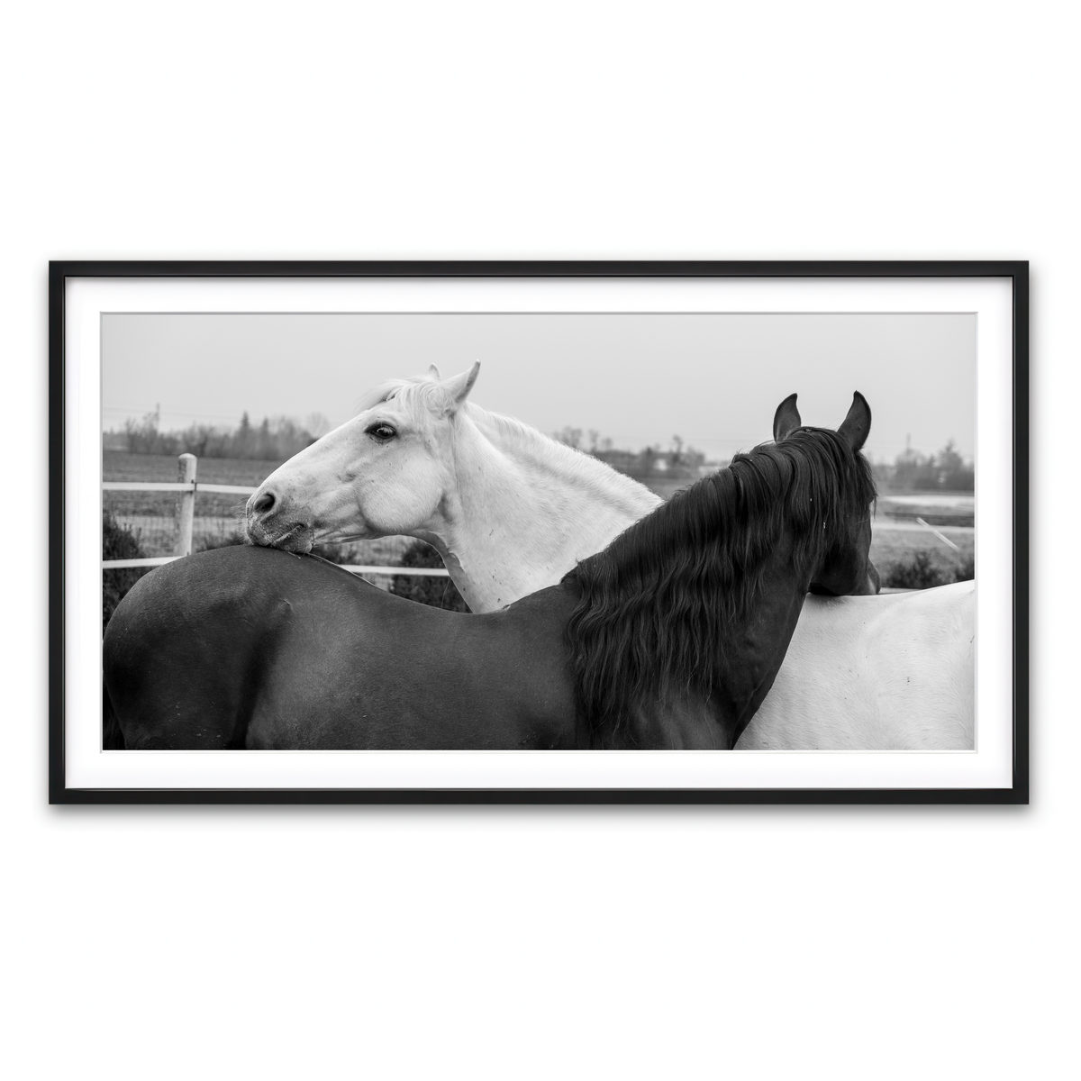 Framed Print 2x1 Black