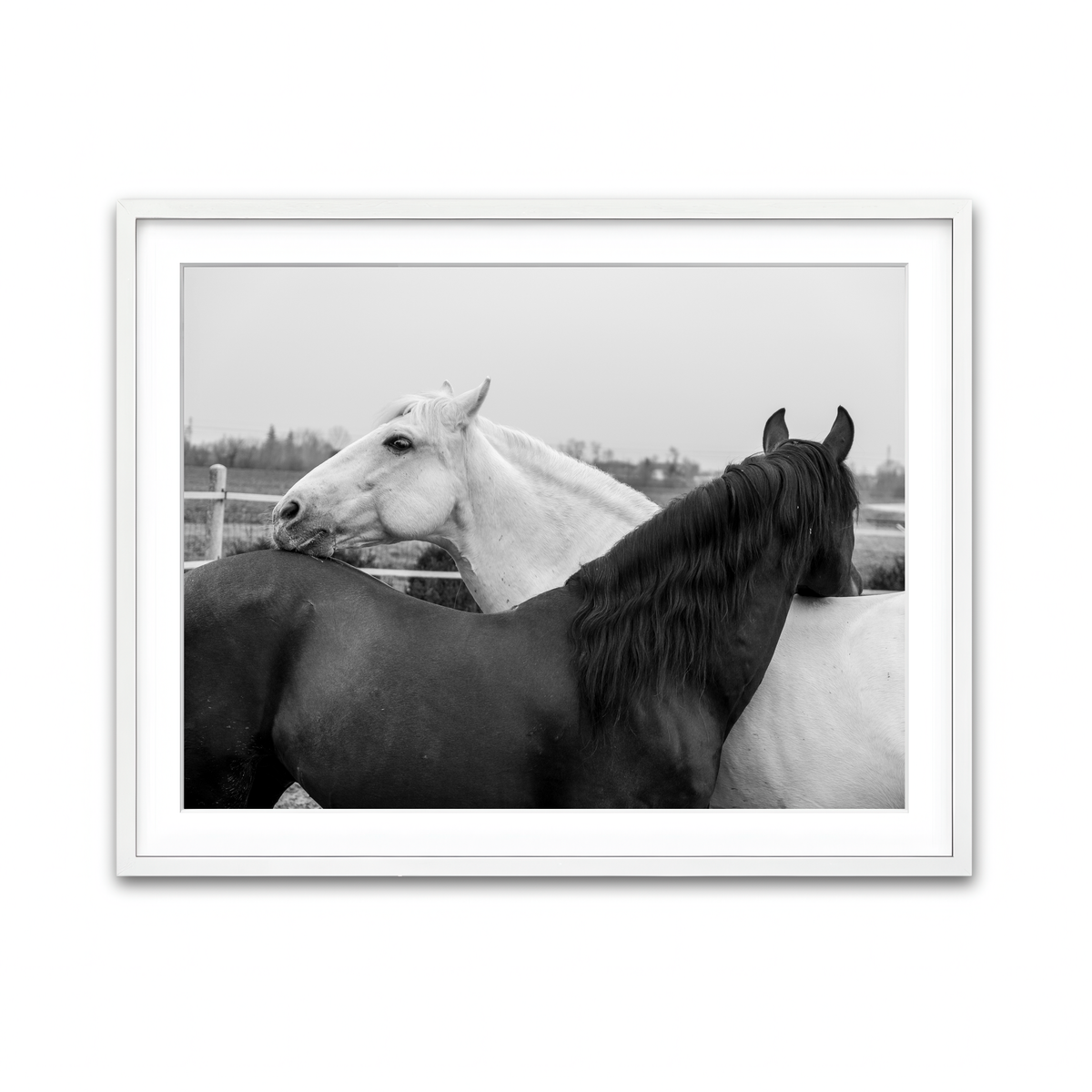 Framed Print 4x3 White