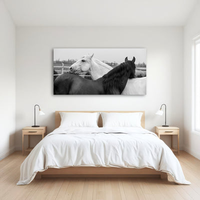 AUTO-MOCKUP ROOM | Black & White Horses