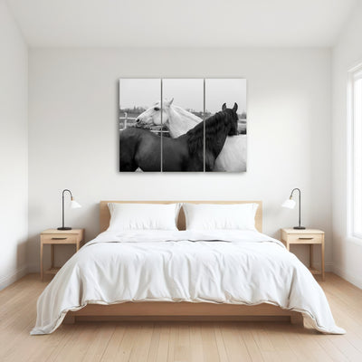 AUTO-MOCKUP ROOM | Black & White Horses