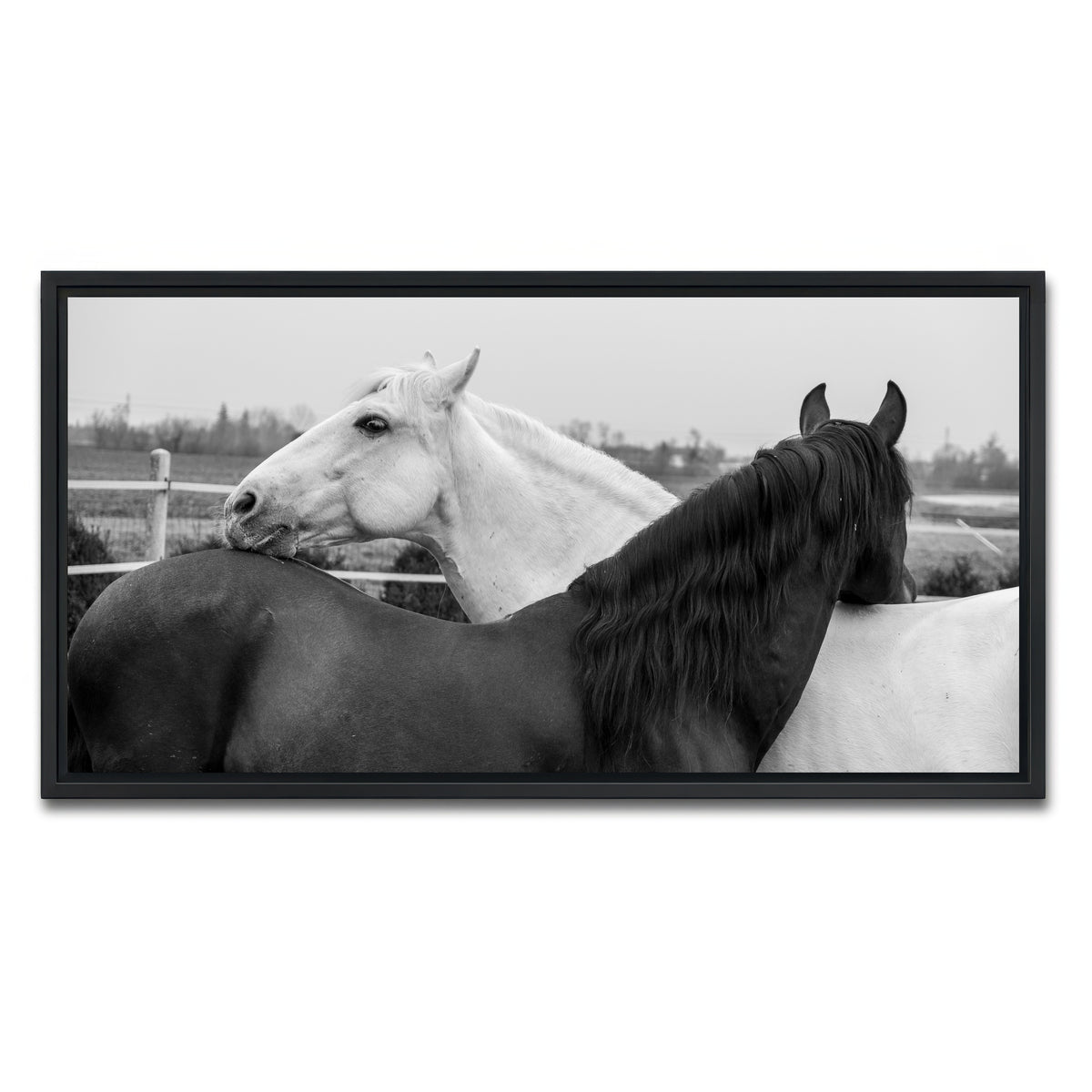 AUTO-MOCKUP WHITE | Black & White Horses | 1 Piece | Black Framed Canvas | group=2x1