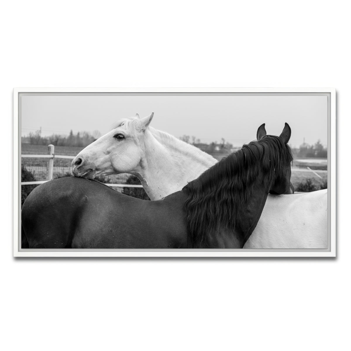 AUTO-MOCKUP WHITE | Black & White Horses | 1 Piece | White Framed Canvas | group=2x1