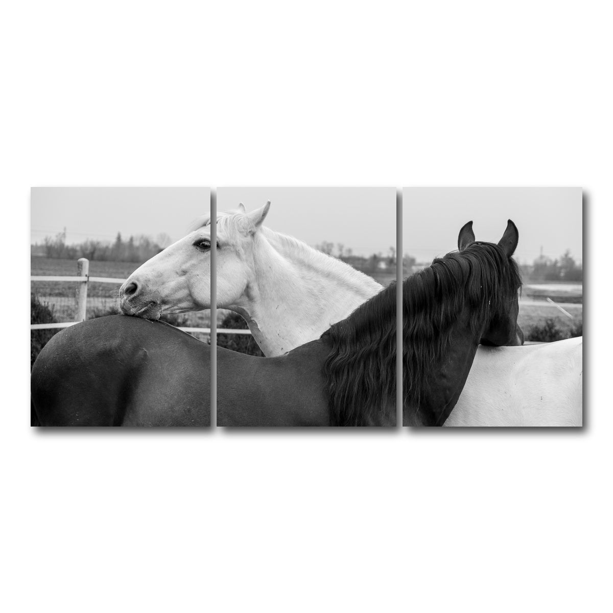 AUTO-MOCKUP WHITE | Black & White Horses | 3 Piece | Gallery Wrap Canvas | group=18x24