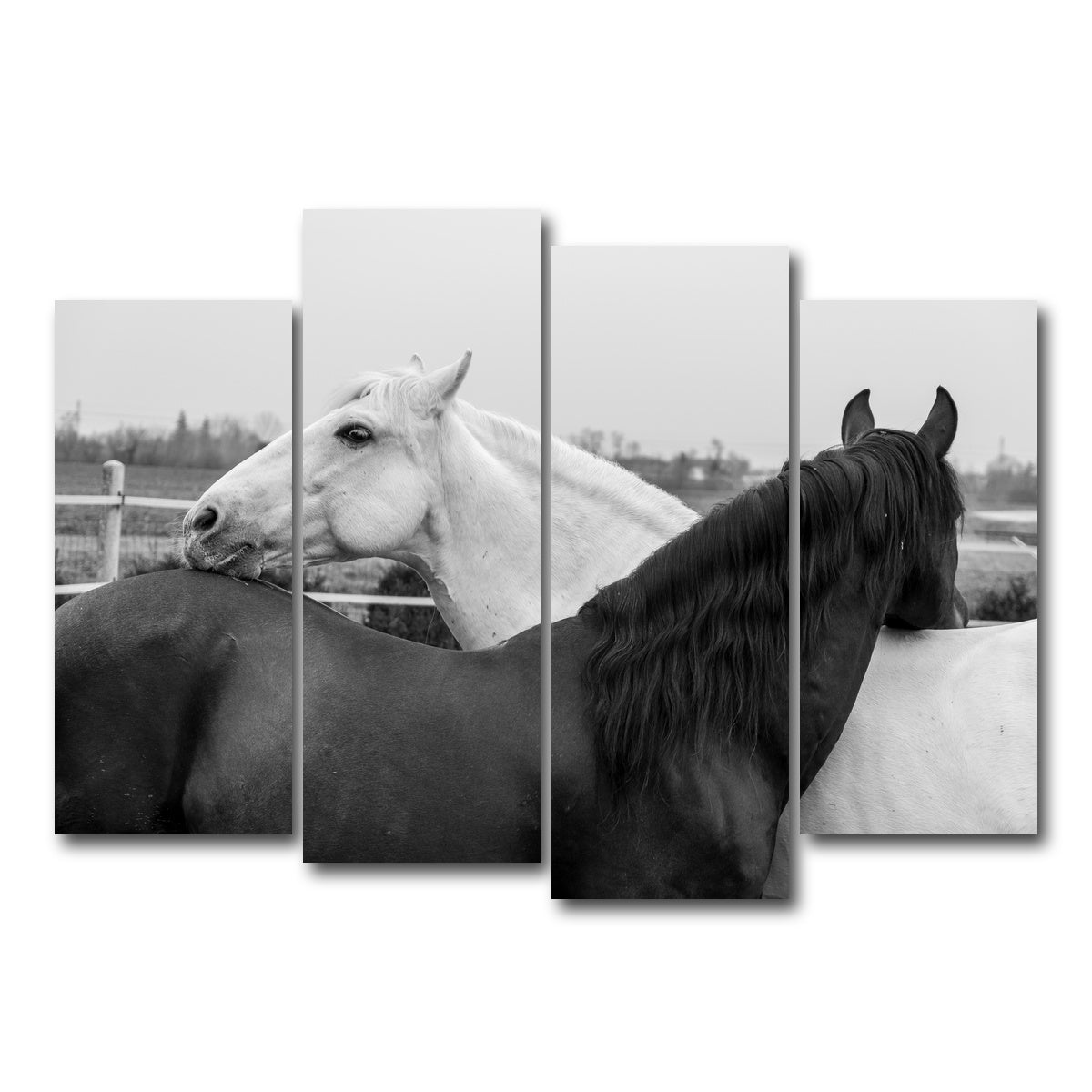 AUTO-MOCKUP WHITE | Black & White Horses | 4 Piece | Gallery Wrap Canvas | group=4_normal
