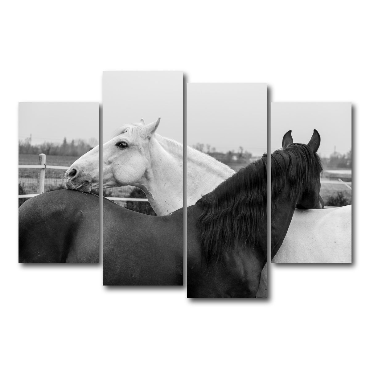 AUTO-MOCKUP WHITE | Black & White Horses | 4 Piece | Gallery Wrap Canvas | group=4_short