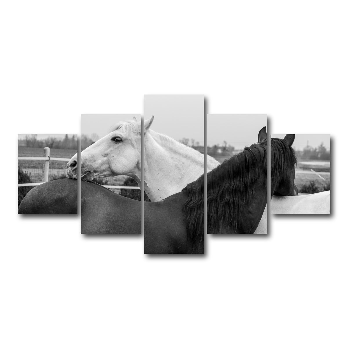 AUTO-MOCKUP WHITE | Black & White Horses | 5 Piece | Gallery Wrap Canvas | group=5_short