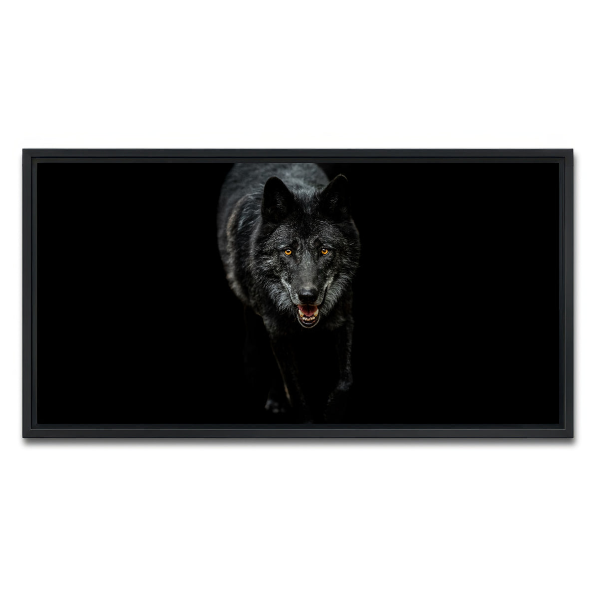 AUTO-MOCKUP WHITE | Black Wolf Black Background | 1 Piece | Black Framed Canvas | group=2x1