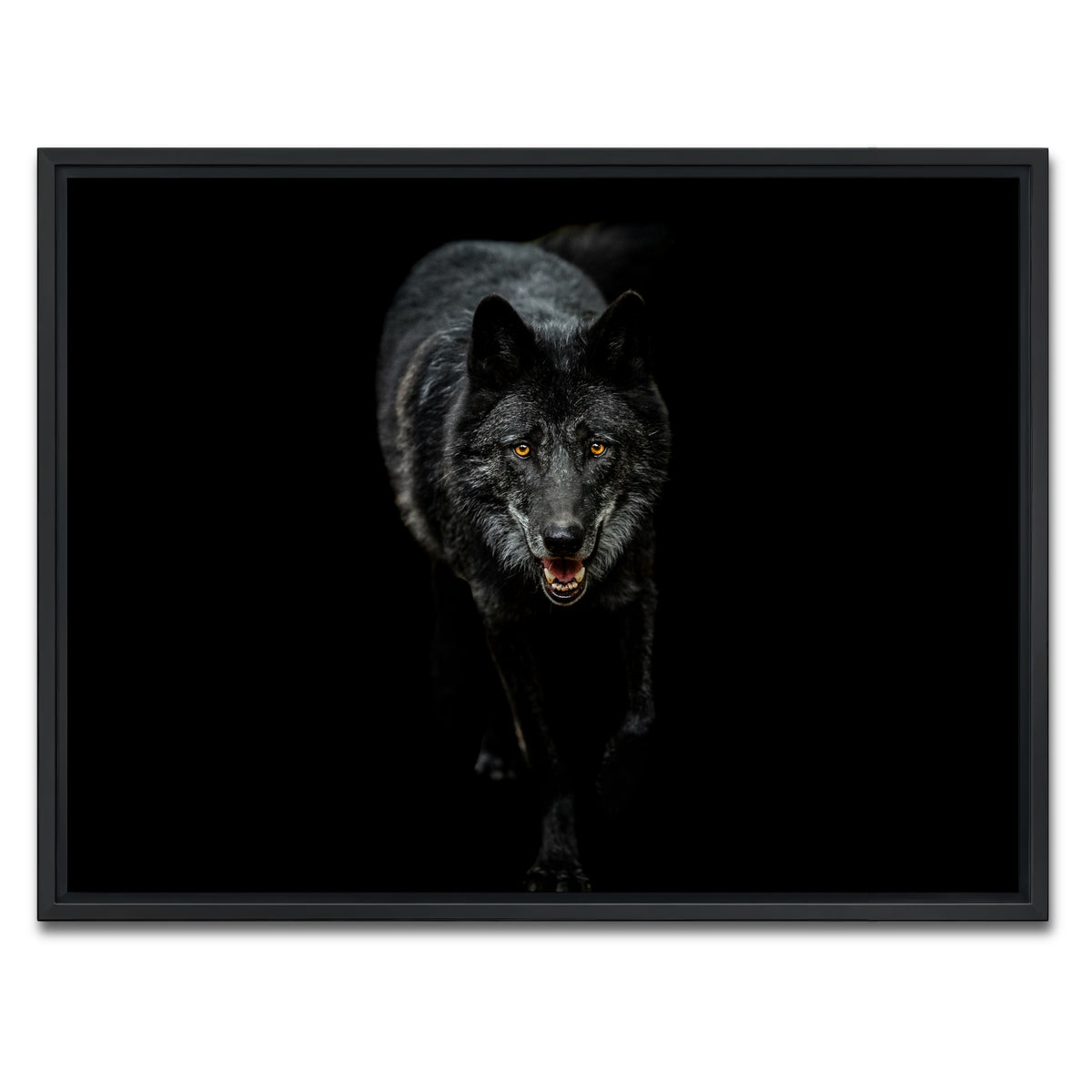 AUTO-MOCKUP WHITE | Black Wolf Black Background | 1 Piece | Black Framed Canvas | group=4x3