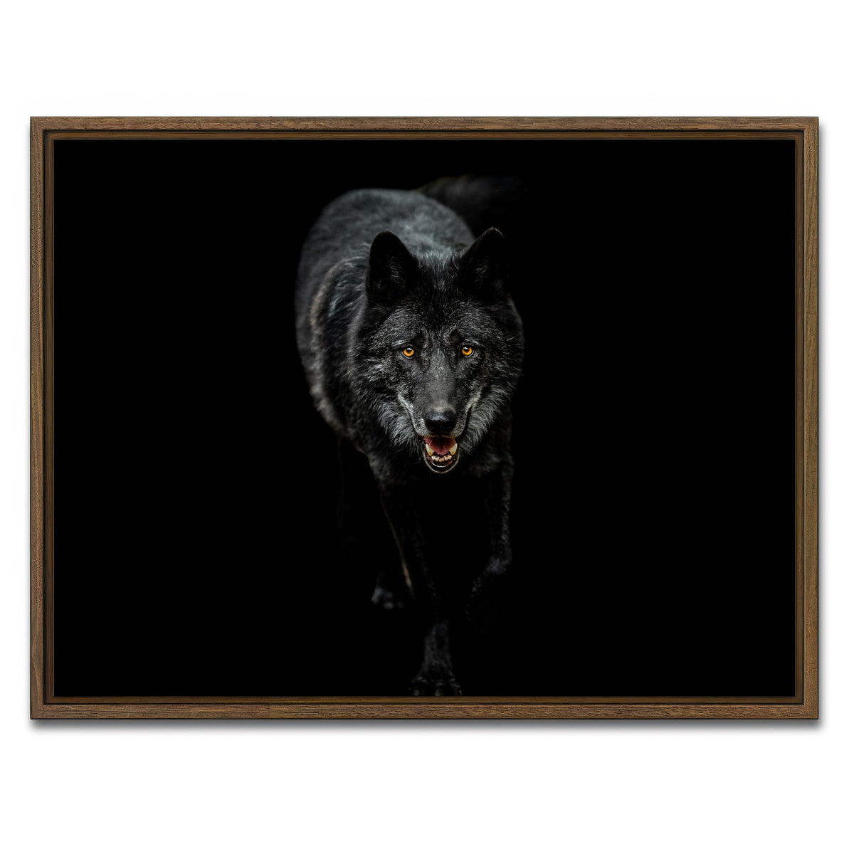 AUTO-MOCKUP WHITE | Black Wolf Black Background | 1 Piece | Walnut Framed Canvas | group=4x3