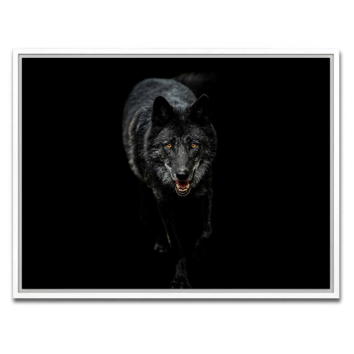 AUTO-MOCKUP WHITE | Black Wolf Black Background | 1 Piece | White Framed Canvas | group=4x3