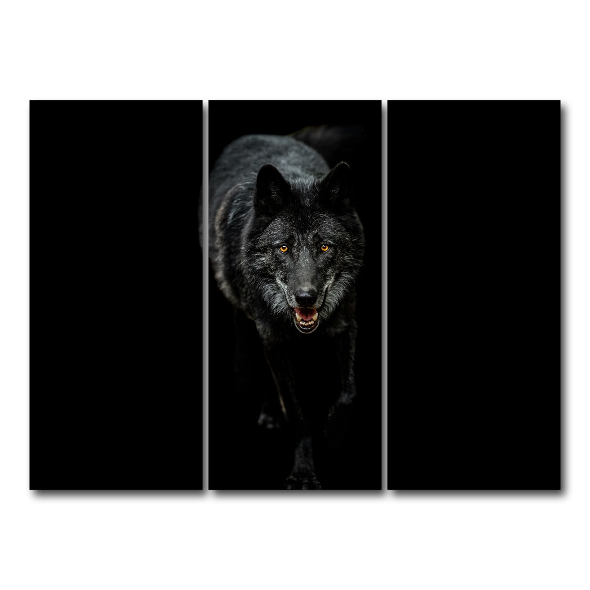 AUTO-MOCKUP WHITE | Black Wolf Black Background | 3 Piece | Gallery Wrap Canvas | group=8x18