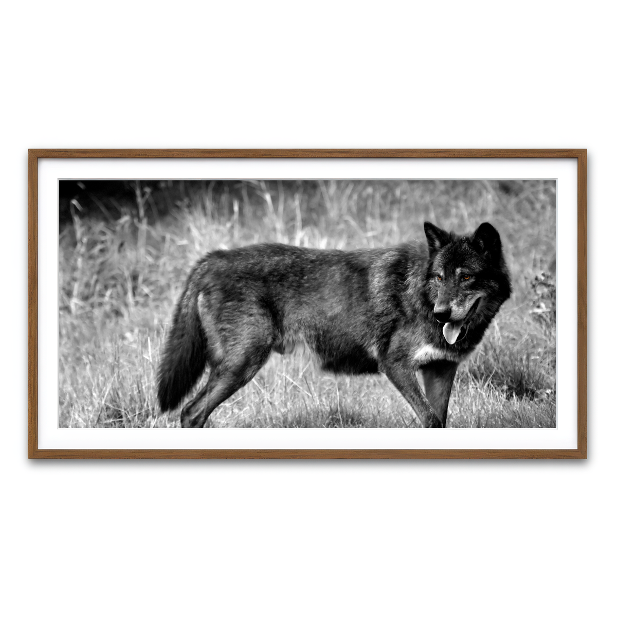 Framed Print 2x1 Walnut