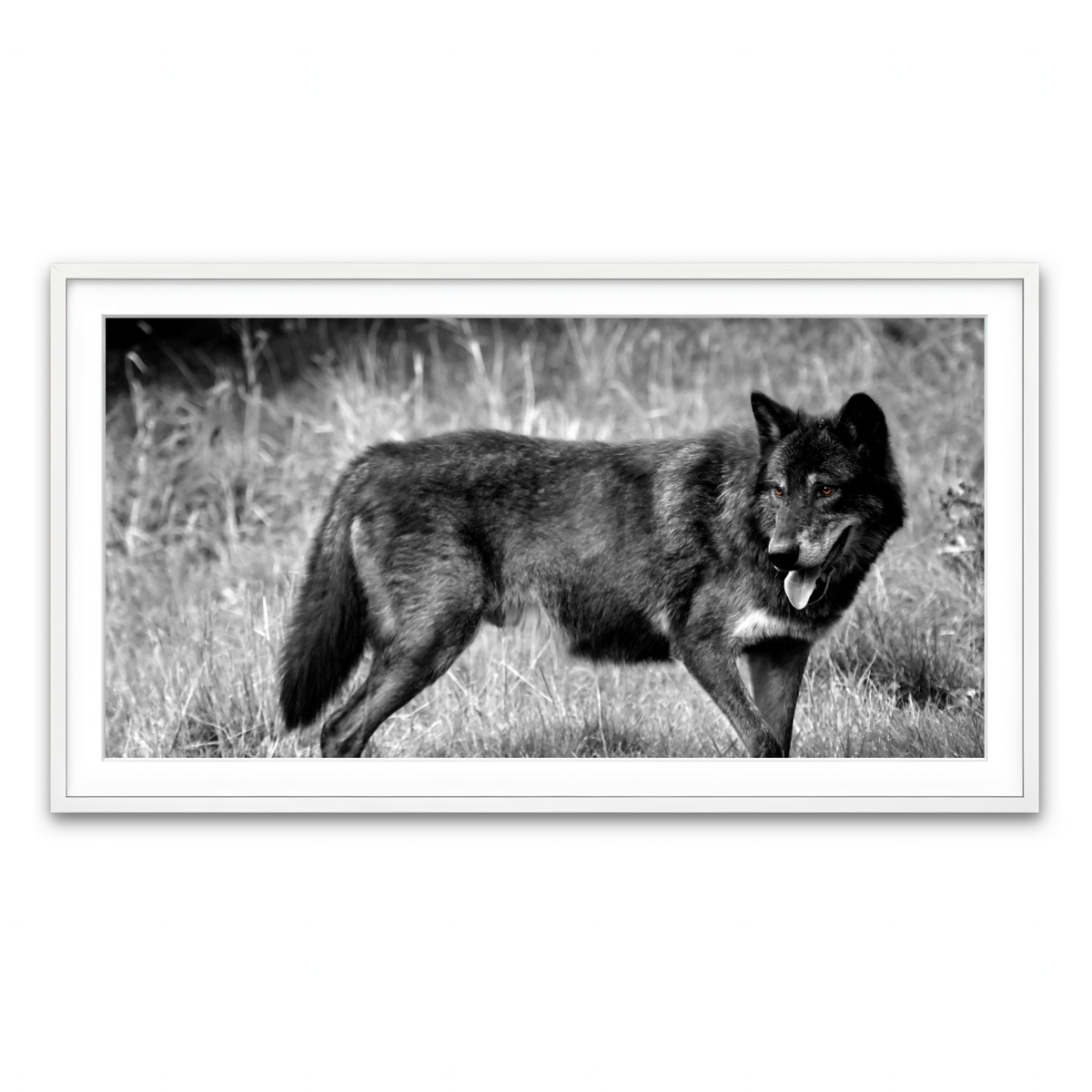 Framed Print 2x1 White