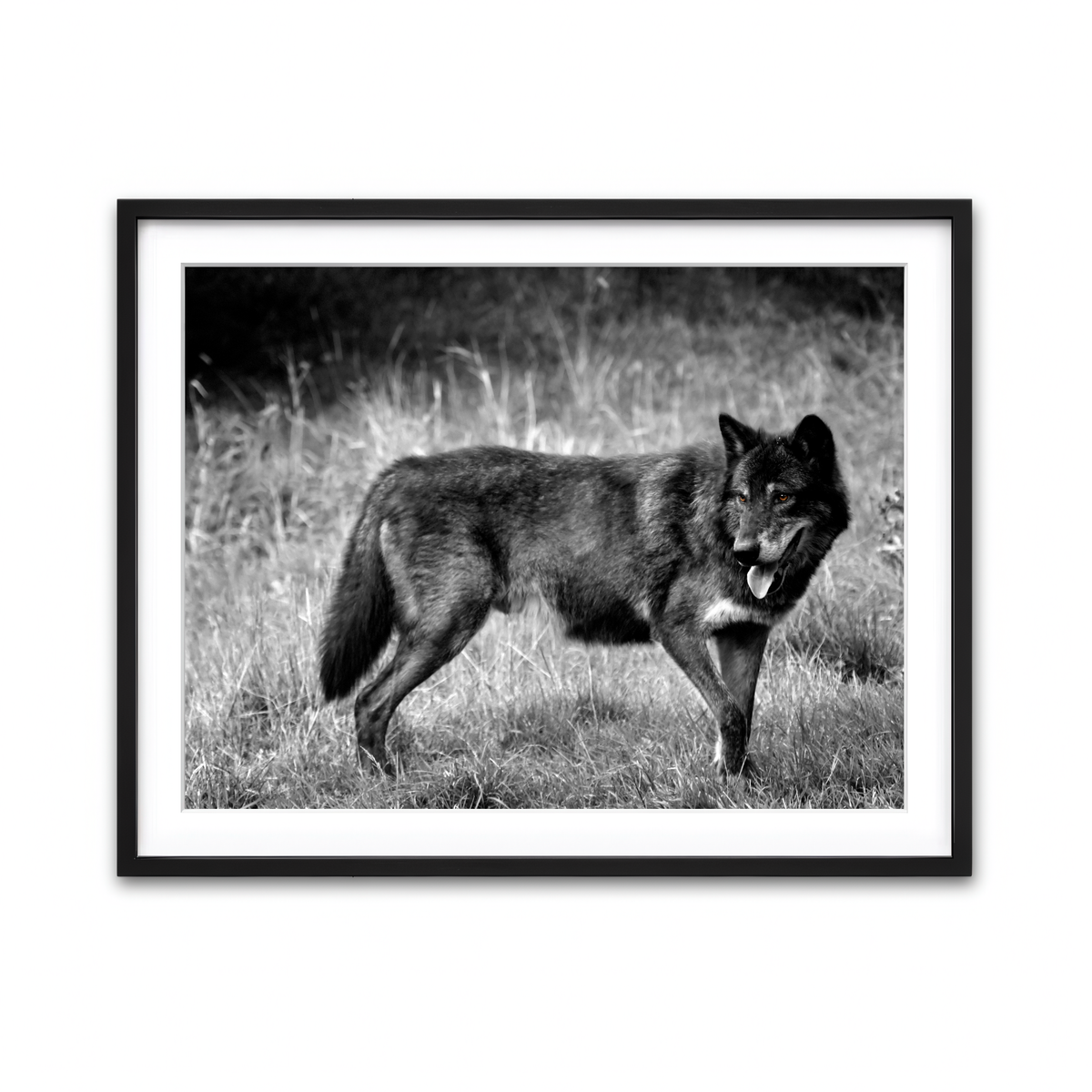 Framed Print 4x3 Black