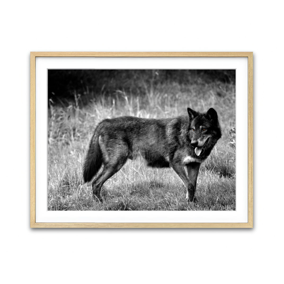 Framed Print 4x3 Natural