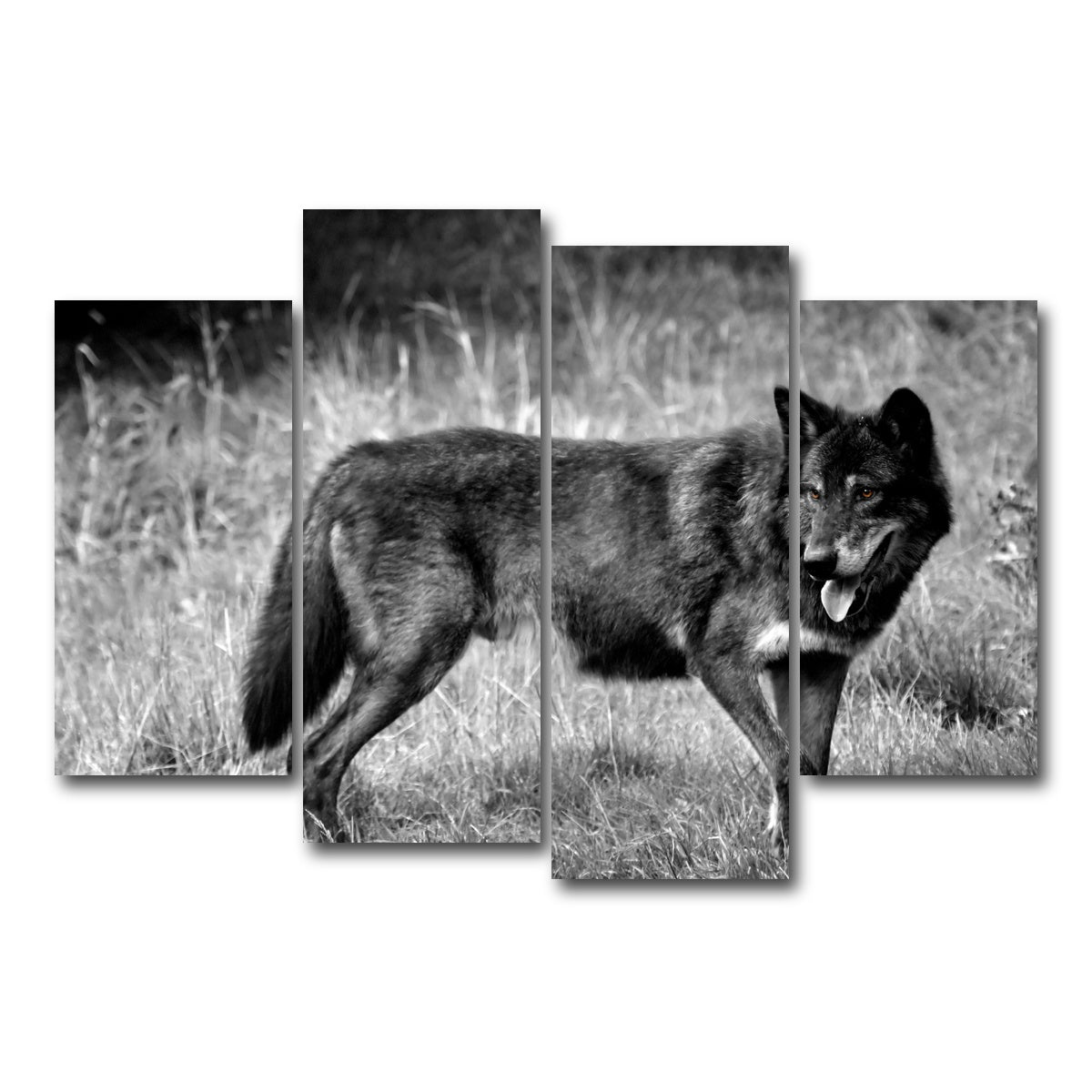 AUTO-MOCKUP WHITE | Black Wolf Grayscale | 4 Piece | Gallery Wrap Canvas | group=4_short
