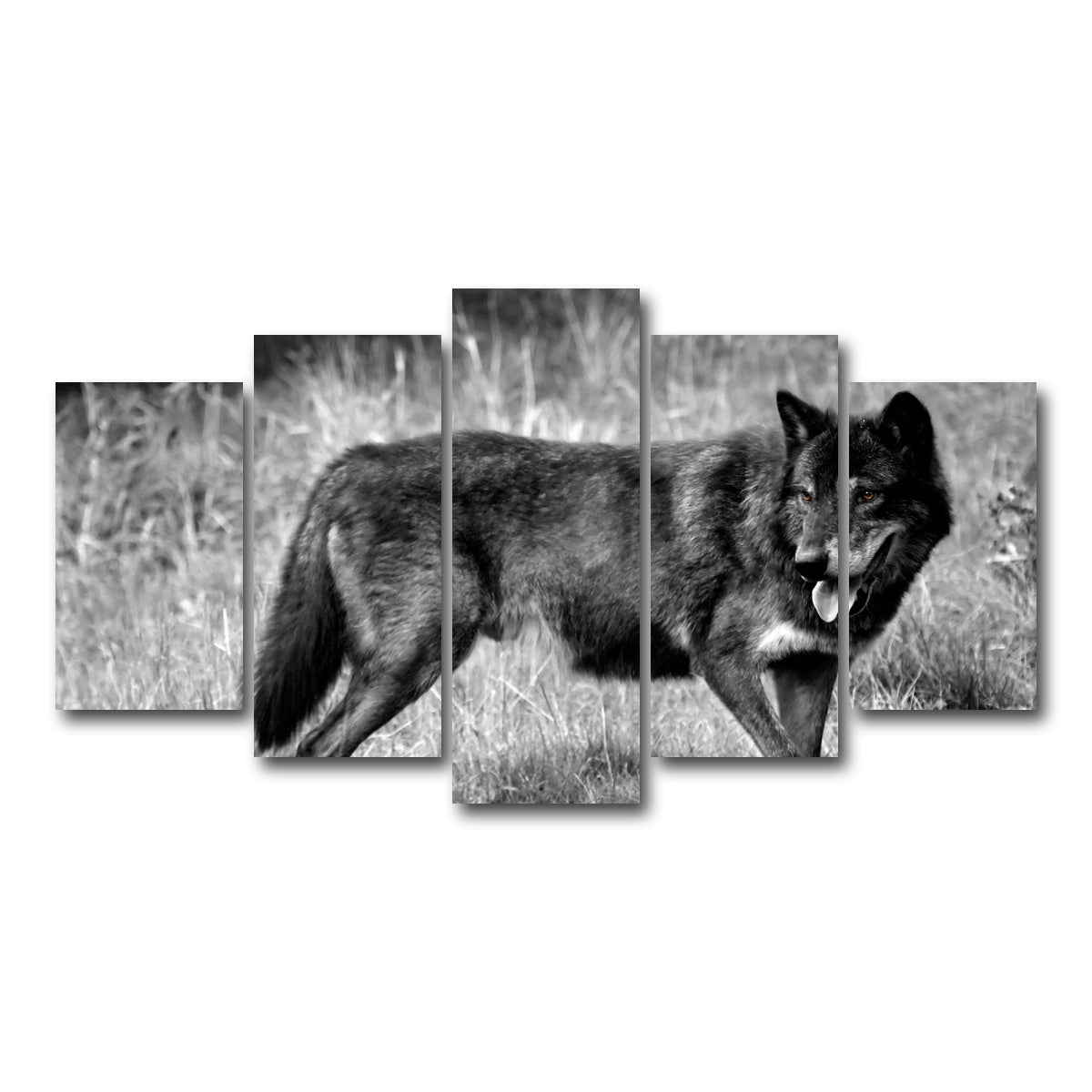 AUTO-MOCKUP WHITE | Black Wolf Grayscale | 5 Piece | Gallery Wrap Canvas | group=5_normal
