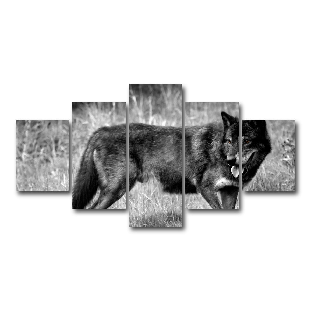 AUTO-MOCKUP WHITE | Black Wolf Grayscale | 5 Piece | Gallery Wrap Canvas | group=5_short