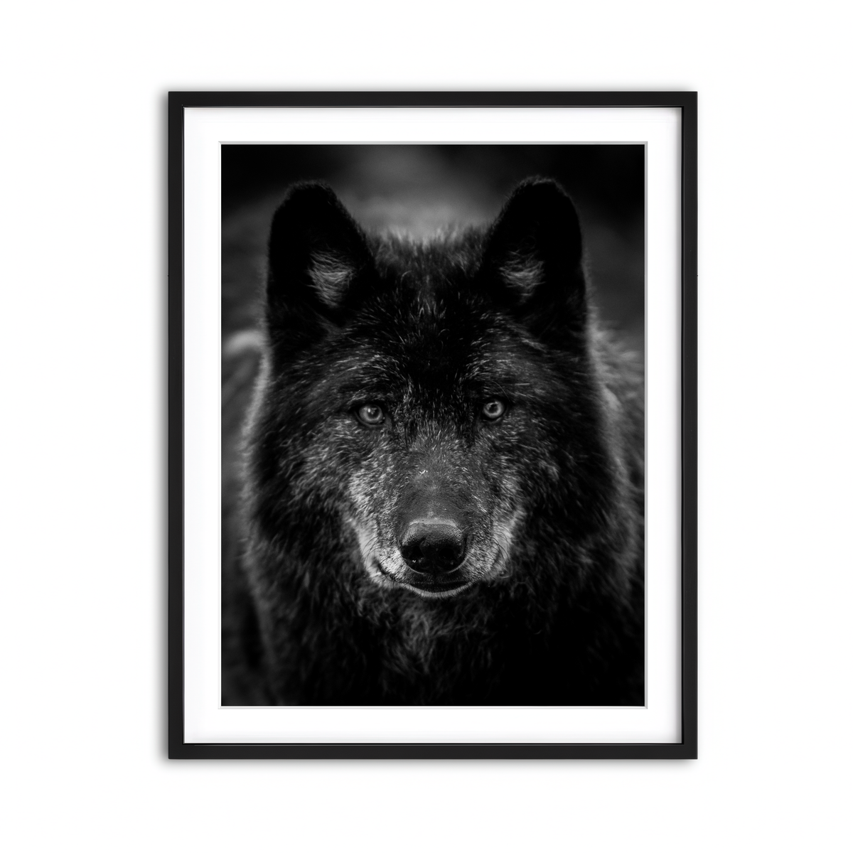 Framed Print 3x4 Black