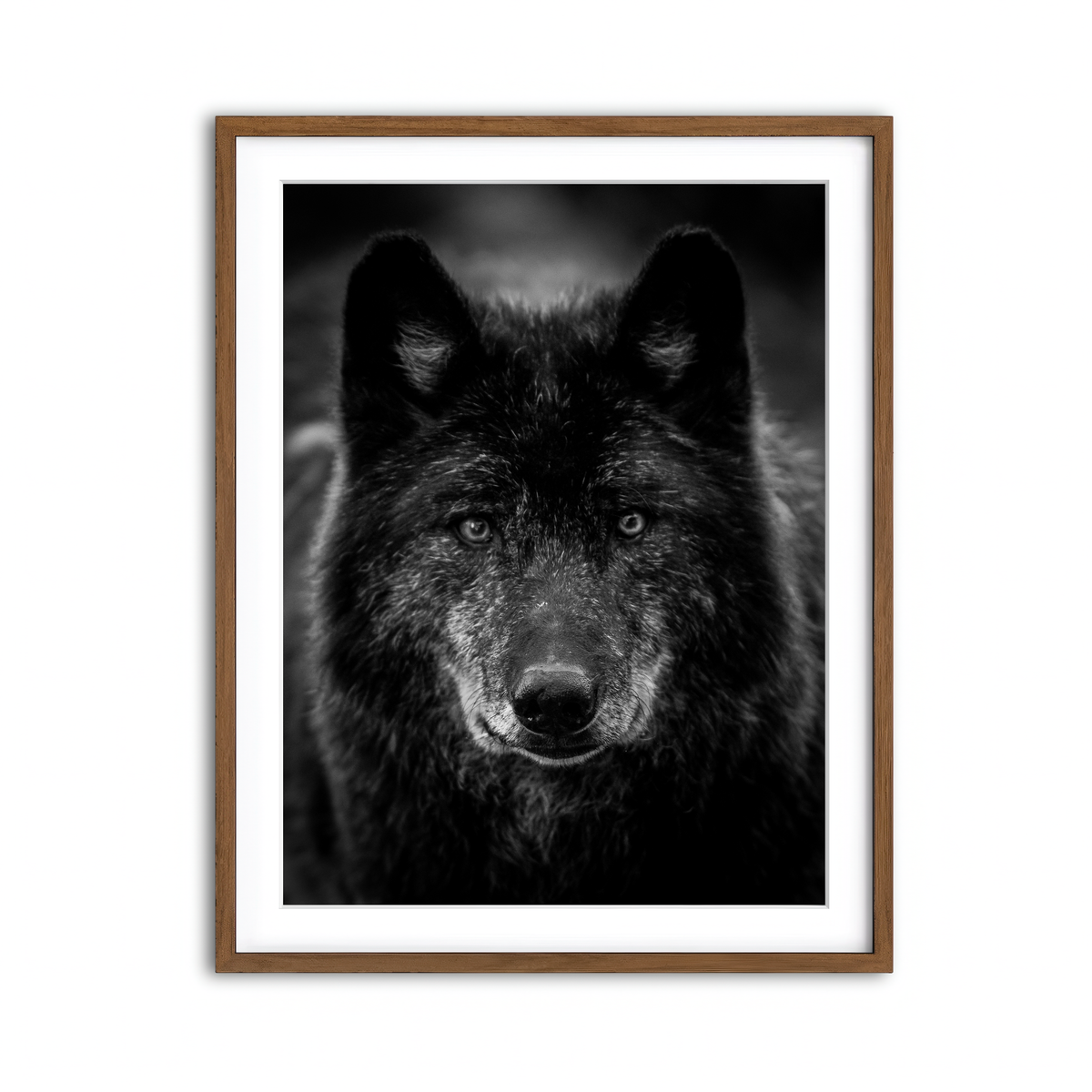 Framed Print 3x4 Walnut