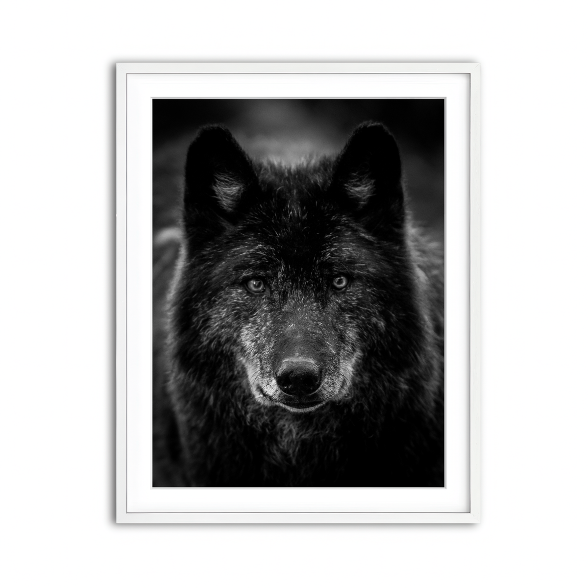 Framed Print 3x4 White