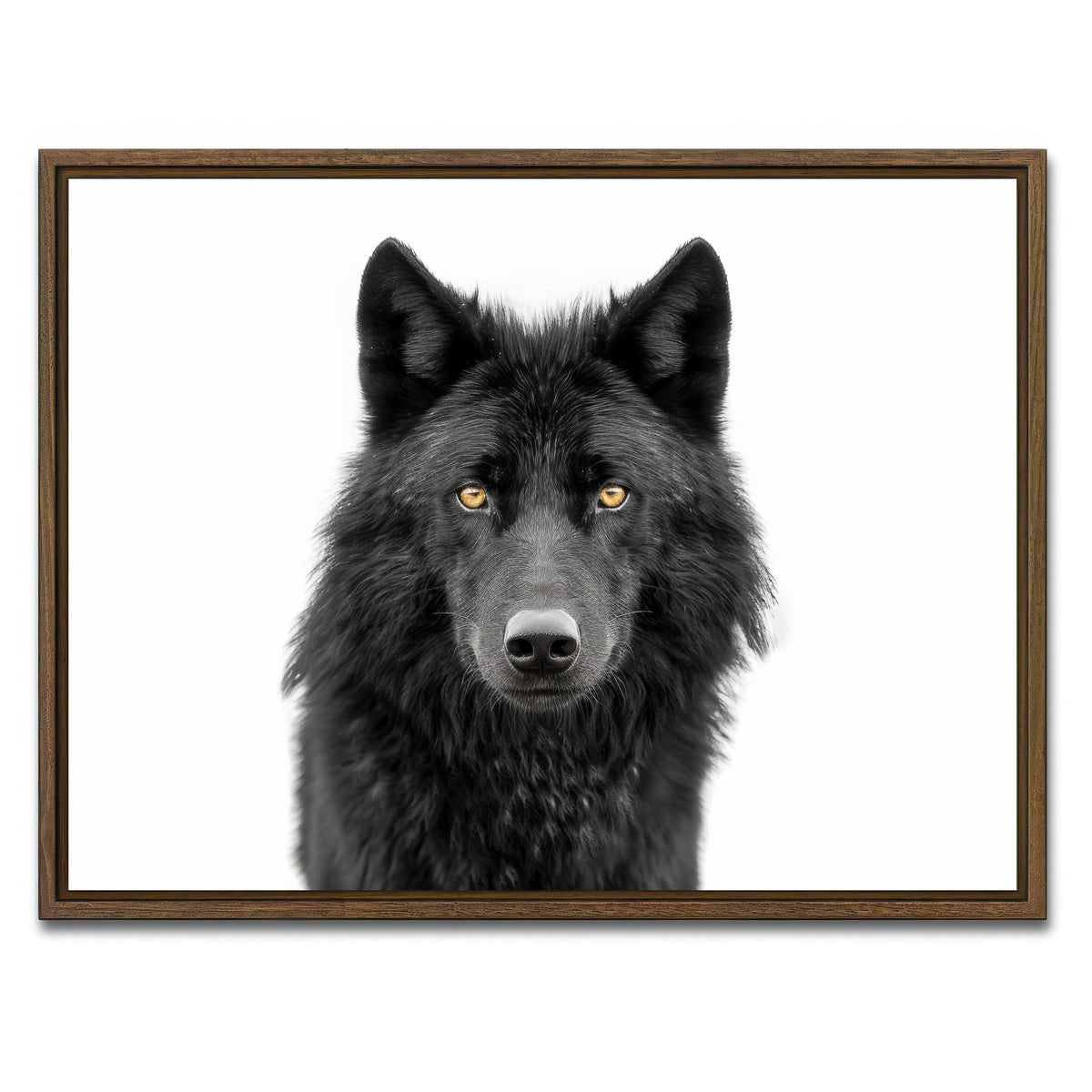 AUTO-MOCKUP WHITE | Black Wolf Portrait | 1 Piece | Walnut Framed Canvas | group=4x3