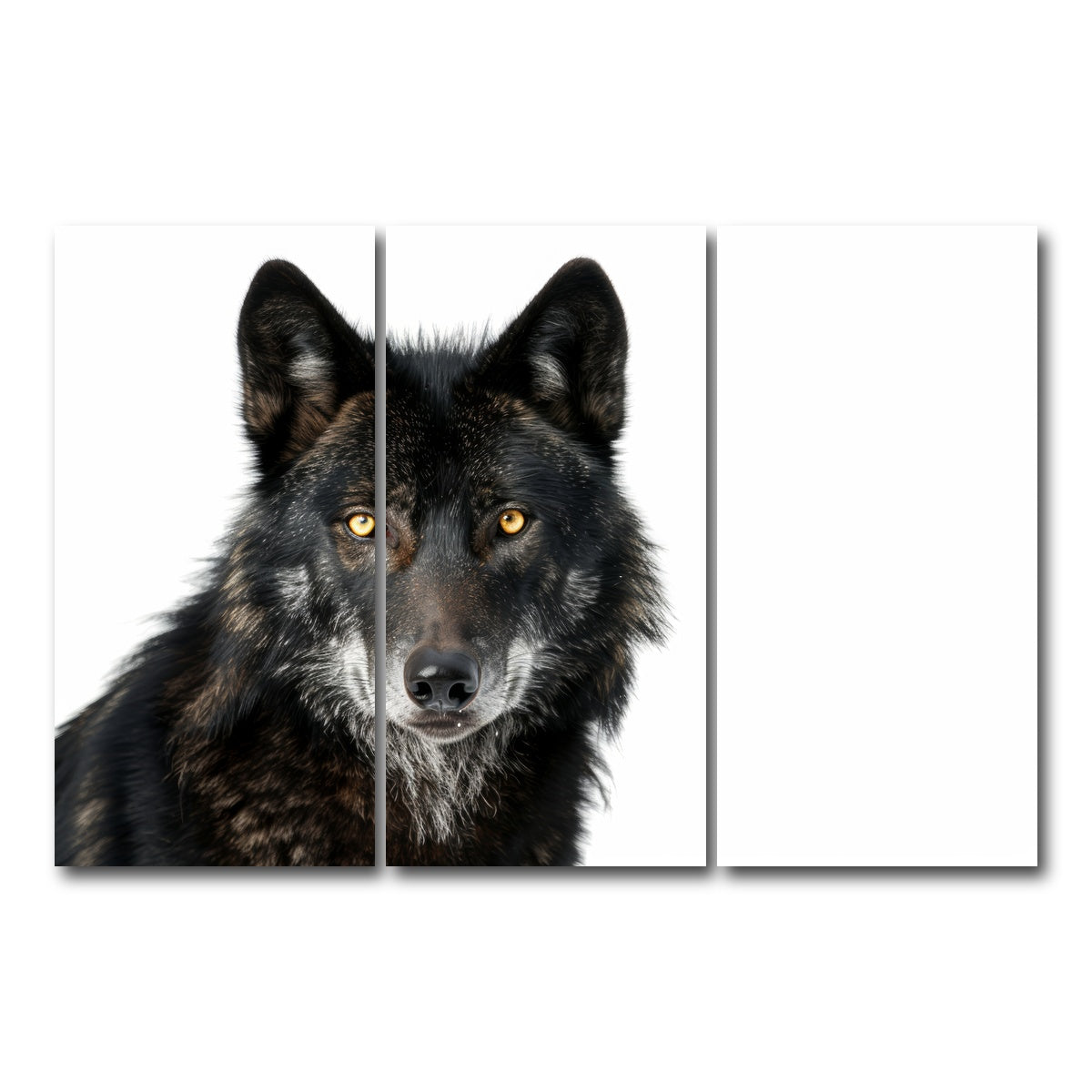 AUTO-MOCKUP WHITE | Black Wolf White Background | 3 Piece | Gallery Wrap Canvas | group=12x24