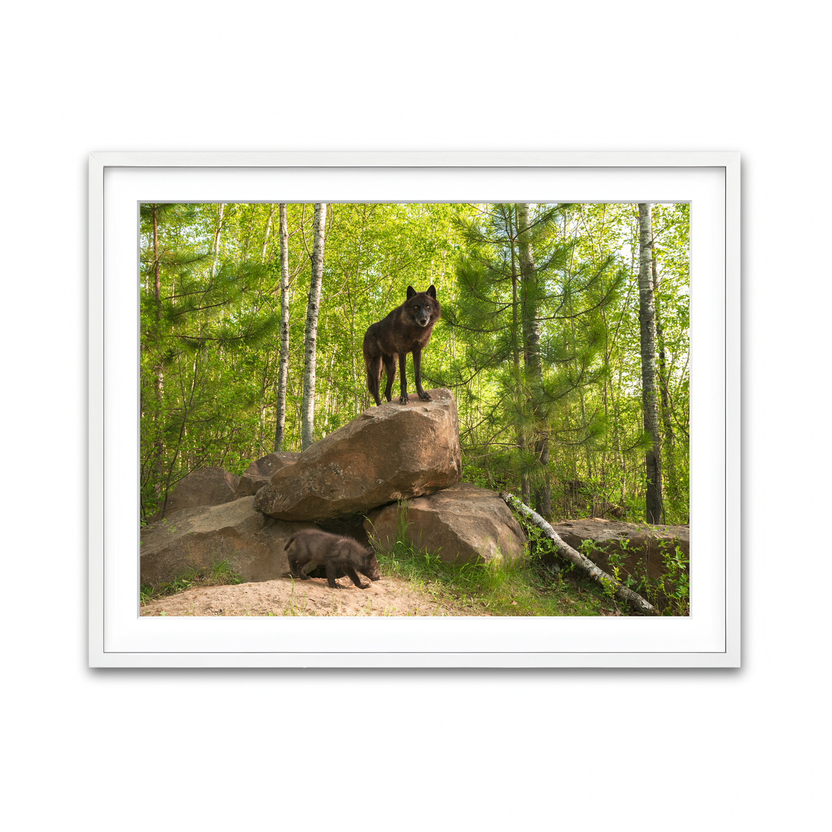 Framed Print 4x3 White