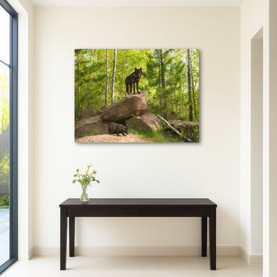 AUTO-MOCKUP ROOM | Black Wolf on Den