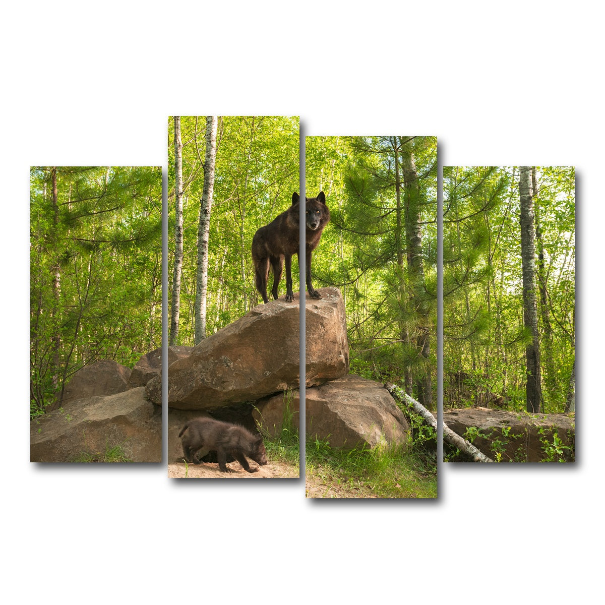 AUTO-MOCKUP WHITE | Black Wolf on Den | 4 Piece | Gallery Wrap Canvas | group=4_normal