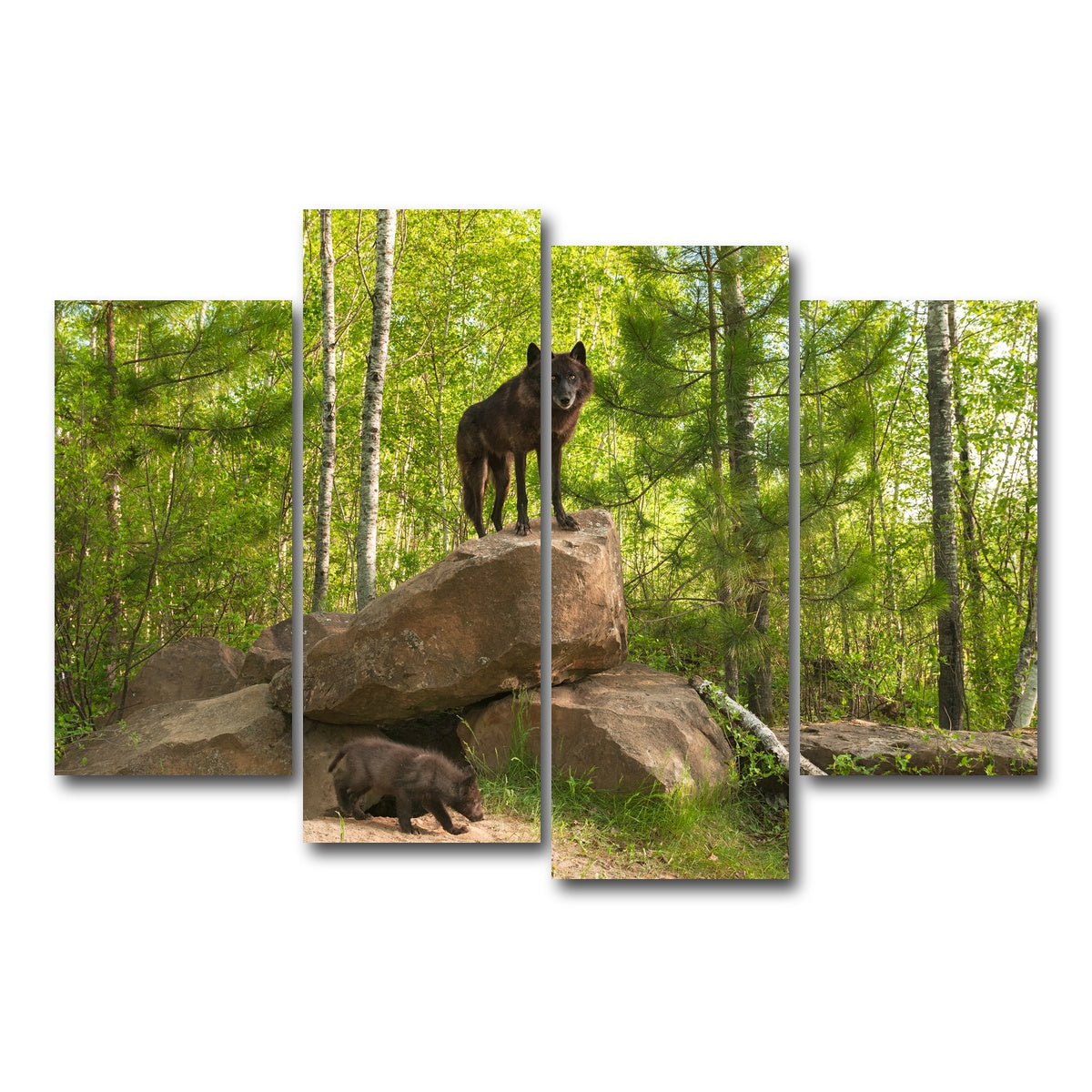 AUTO-MOCKUP WHITE | Black Wolf on Den | 4 Piece | Gallery Wrap Canvas | group=4_short