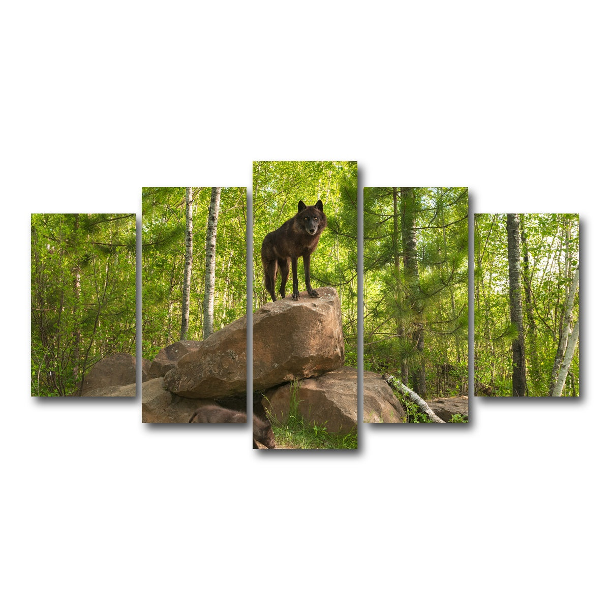 AUTO-MOCKUP WHITE | Black Wolf on Den | 5 Piece | Gallery Wrap Canvas | group=5_normal
