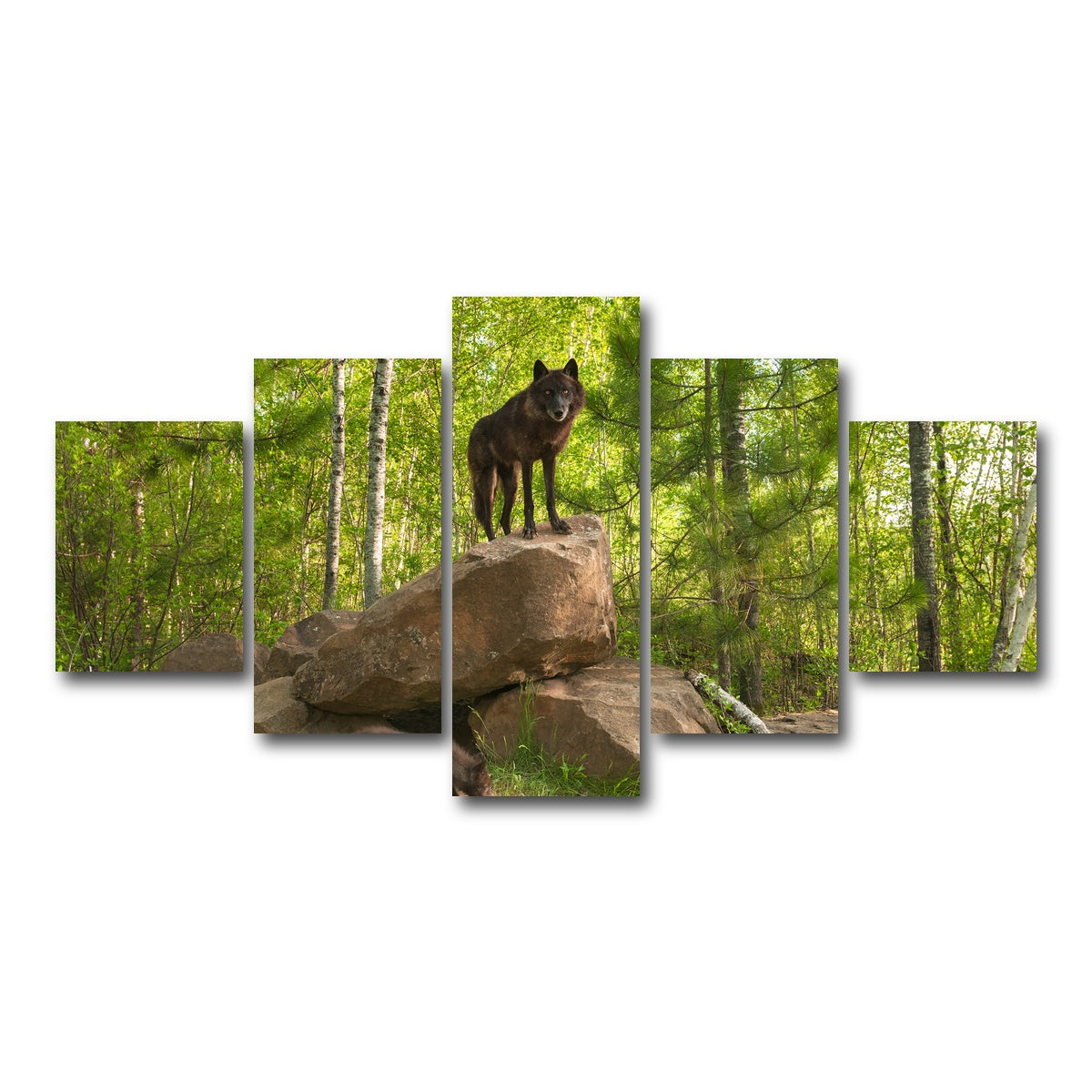 AUTO-MOCKUP WHITE | Black Wolf on Den | 5 Piece | Gallery Wrap Canvas | group=5_short