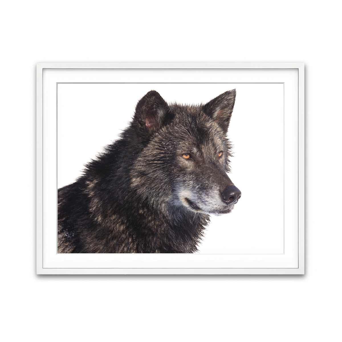Framed Print 4x3 White