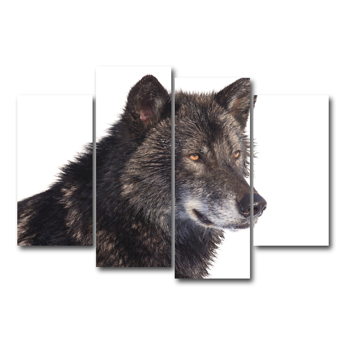 AUTO-MOCKUP WHITE | Black wolf side portrait | 4 Piece | Gallery Wrap Canvas | group=4_short