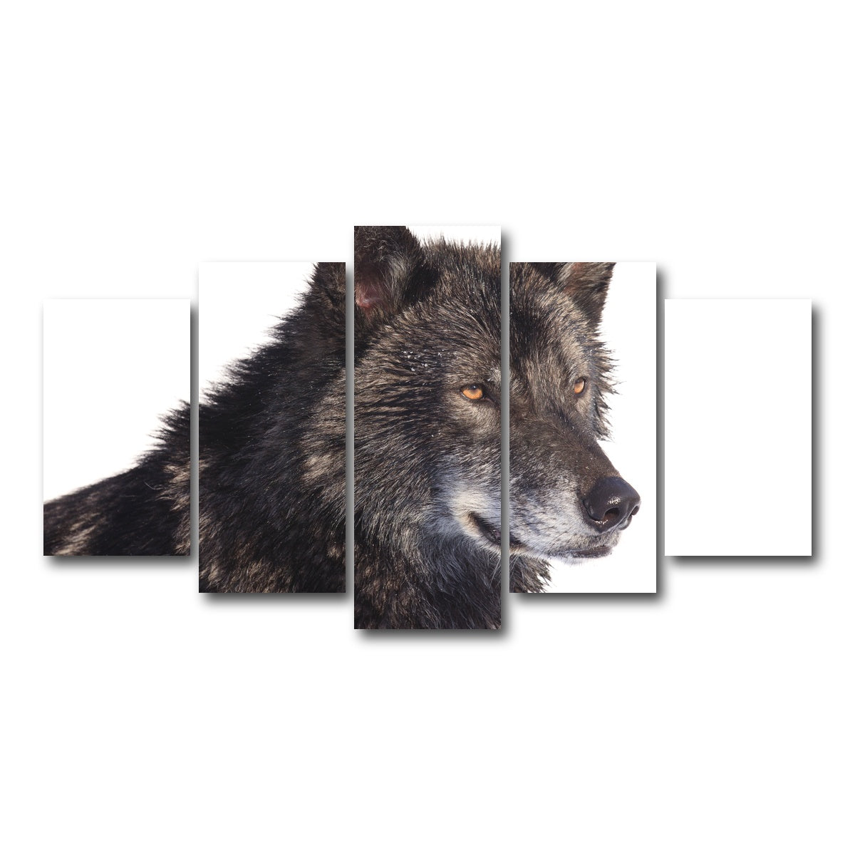 AUTO-MOCKUP WHITE | Black wolf side portrait | 5 Piece | Gallery Wrap Canvas | group=5_normal