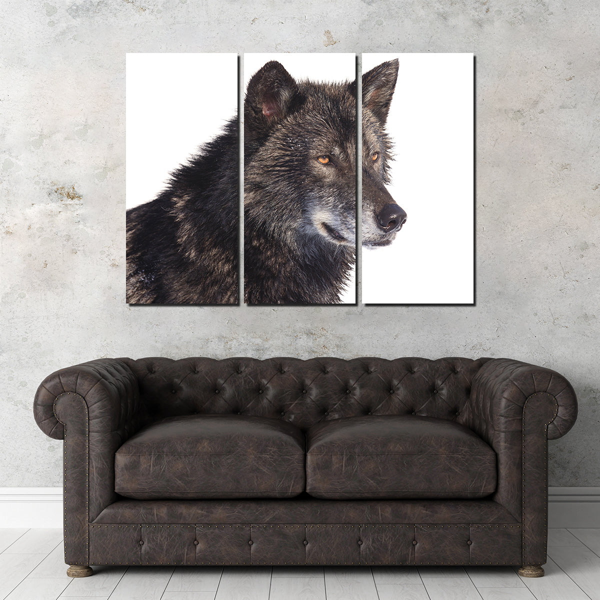 Black Wolf Side Portrait Wall Art