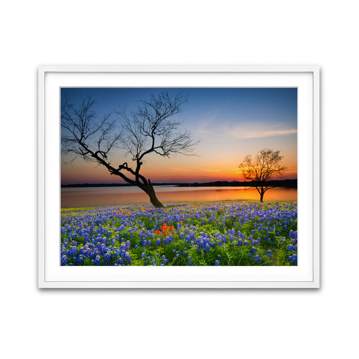 Framed Print 4x3 White
