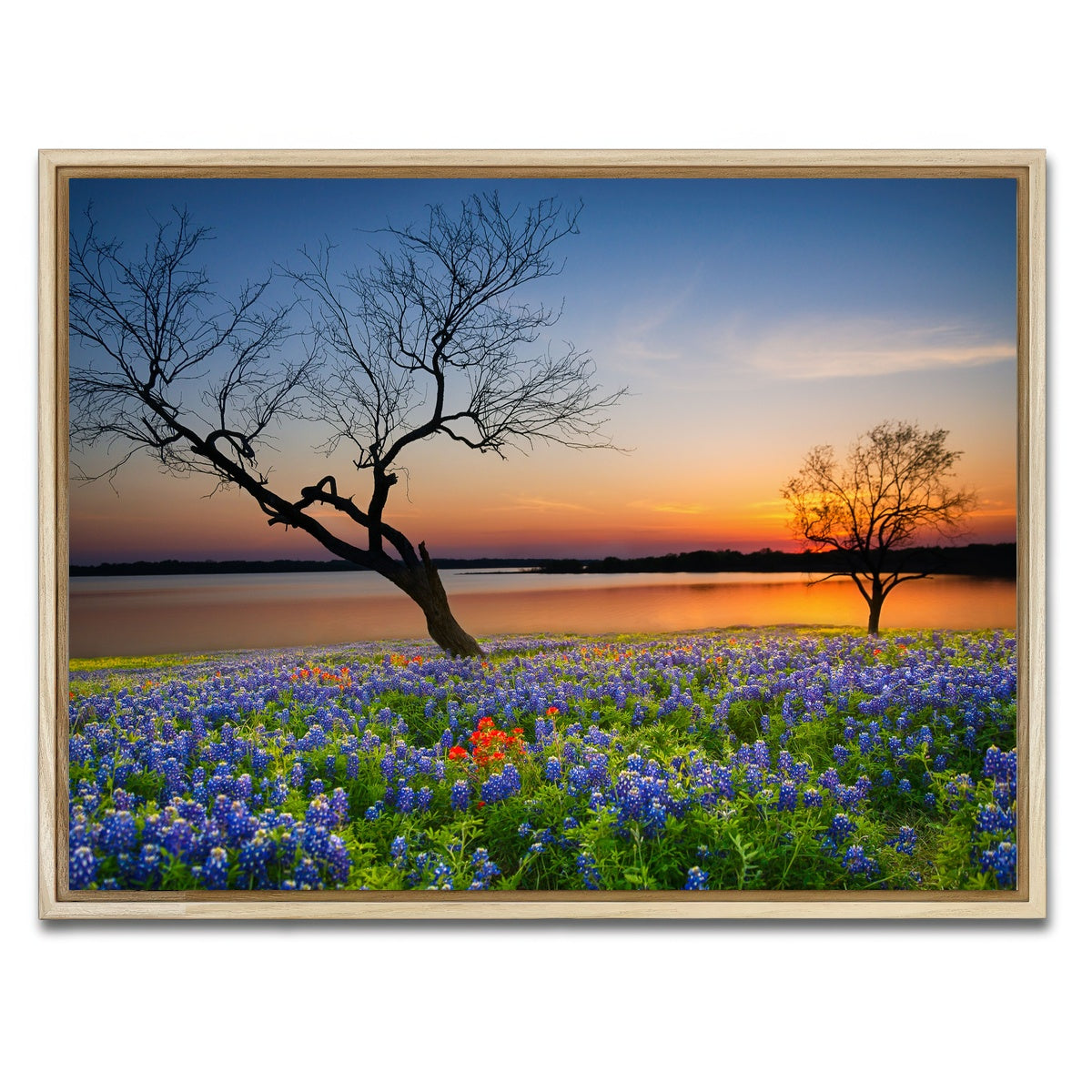 AUTO-MOCKUP WHITE | Blooming bluebonnet wildflower field | 1 Piece | Natural Framed Canvas | group=4x3
