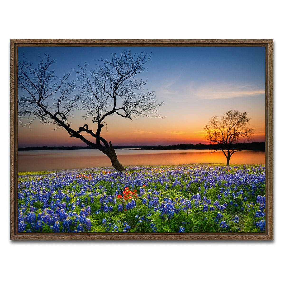 AUTO-MOCKUP WHITE | Blooming bluebonnet wildflower field | 1 Piece | Walnut Framed Canvas | group=4x3